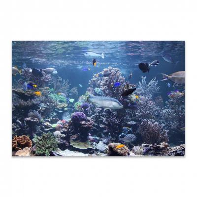ACUARIO MARINO 25688